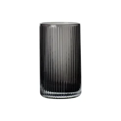 Asa Selection Juna lasi, 0,28 l – harmaa