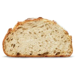 Leivänpaahdin Sage the Toast Select™ Luxe Silver STA735BSS