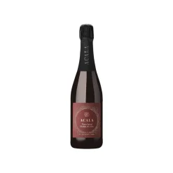 Luomu kuohuva teejuoma ACALA Winter Spiced, 750 ml