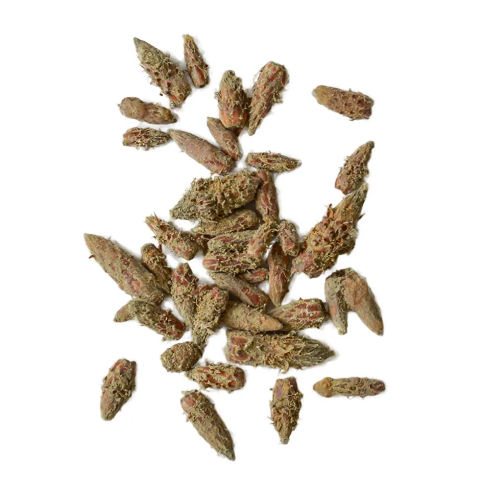 Männynsilmutee Dvaro Kavos, 50 g