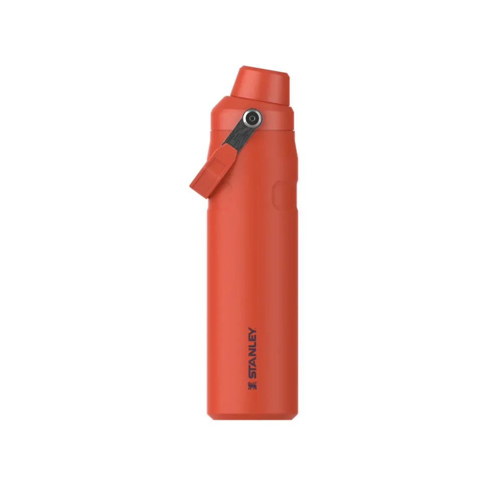 Vesipullo Stanley The Aerolight IceFlow Fast Flow Tigerlily Plum, 600 ml